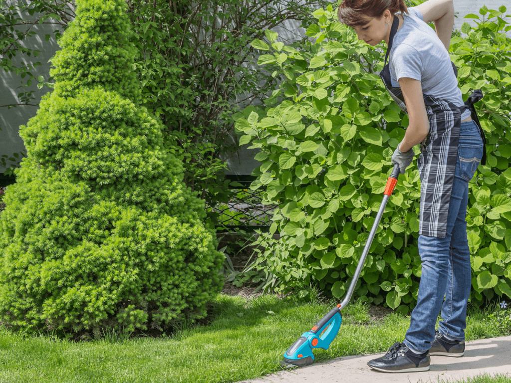 A person uses a handheld electric grass trimmer to edge a lawn near a bushy tree and green shrubs on a sunny day, performing essential seasonal maintenance for a tidy and well-kept yard.
